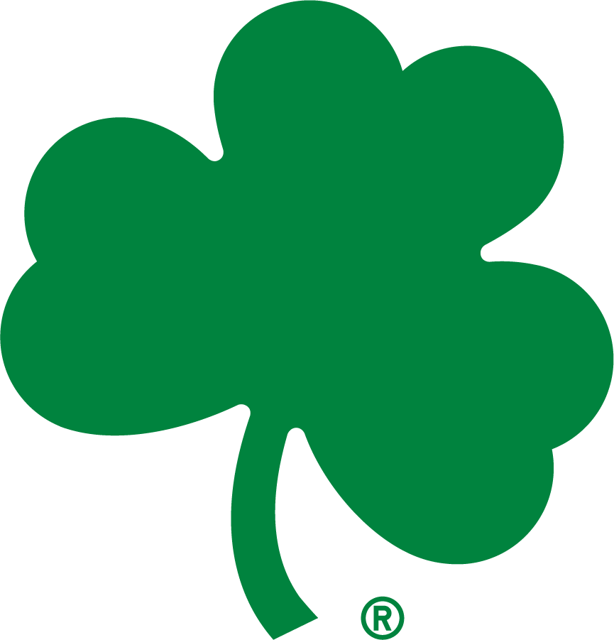 Notre Dame Fighting Irish 2015-Pres Secondary Logo v3 t shirts iron on transfers